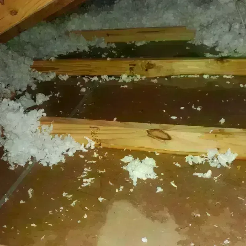 Attic Water Damage in Washburn, ND