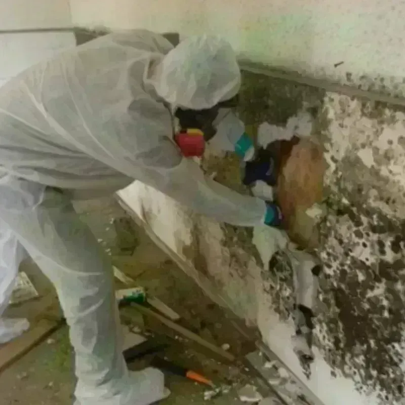 Mold Remediation and Removal in Washburn, ND