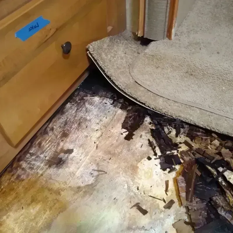 Wood Floor Water Damage in Washburn, ND